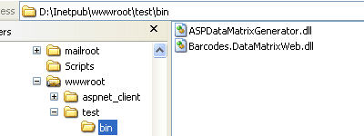 Copy the files into the bin directory.